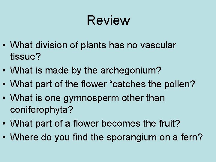 Review • What division of plants has no vascular tissue? • What is made