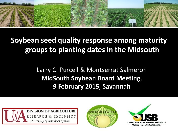 Soybean seed quality response among maturity groups to planting dates in the Midsouth Larry