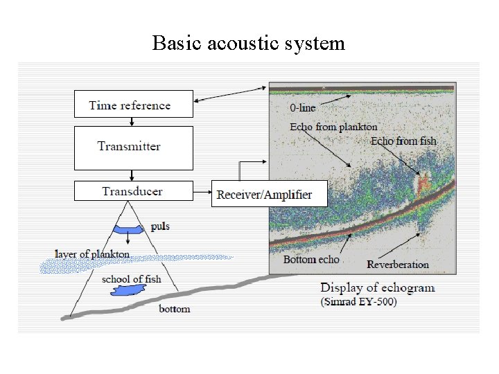 Basic acoustic system 