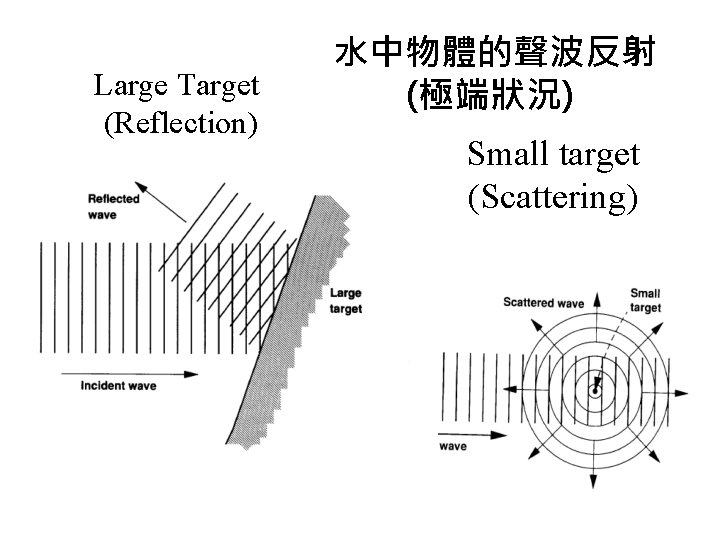 Large Target (Reflection) 水中物體的聲波反射 (極端狀況) Small target (Scattering) 