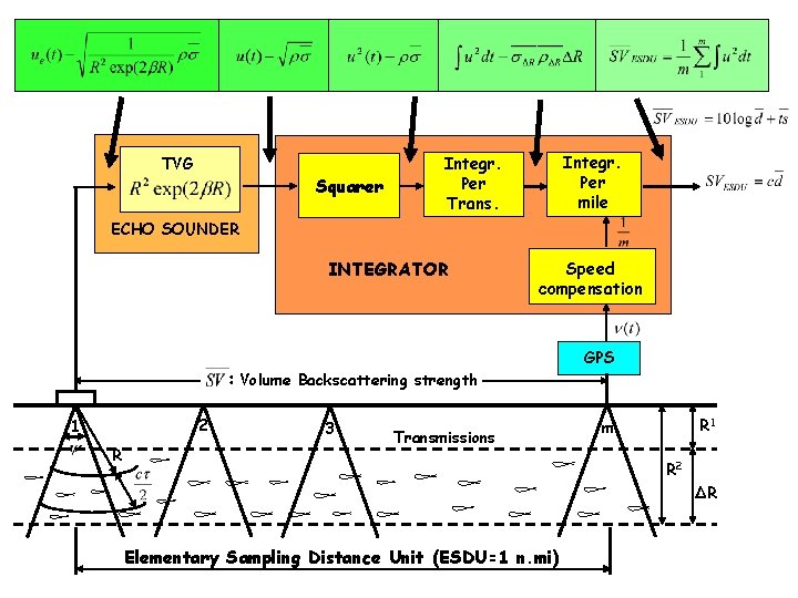 TVG Squarer Integr. Per mile Integr. Per Trans. ECHO SOUNDER INTEGRATOR Speed compensation GPS
