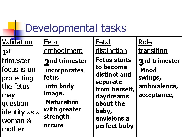 Developmental tasks Validation Fetal embodiment 1 st trimester 2 nd trimester focus is on
