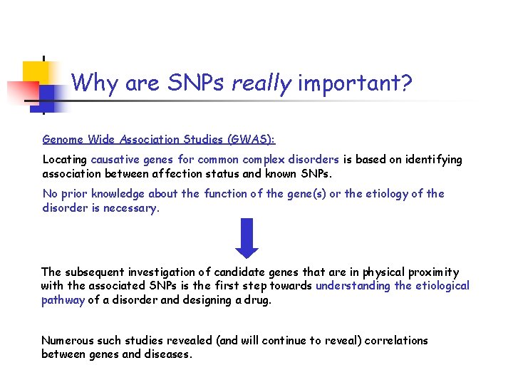 Why are SNPs really important? Genome Wide Association Studies (GWAS): Locating causative genes for