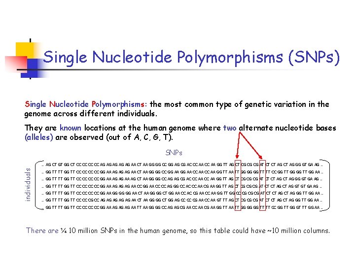 Single Nucleotide Polymorphisms (SNPs) Single Nucleotide Polymorphisms: the most common type of genetic variation