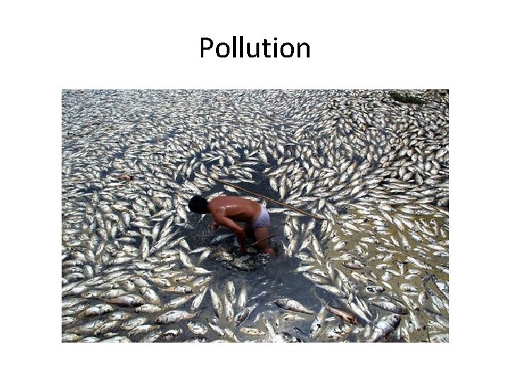 Pollution 