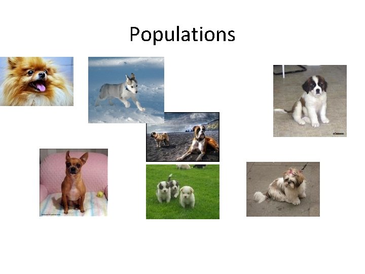 Populations 