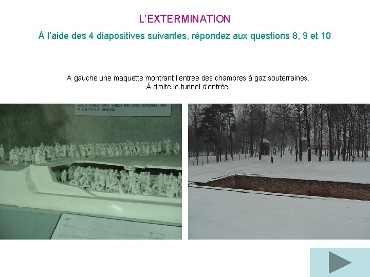 L’EXTERMINATION À l’aide des 4 diapositives suivantes, répondez aux questions 8, 9 et 10