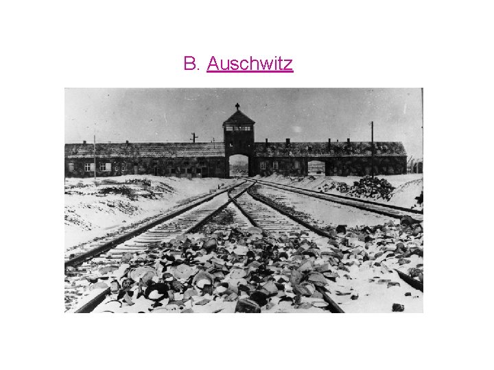 B. Auschwitz 