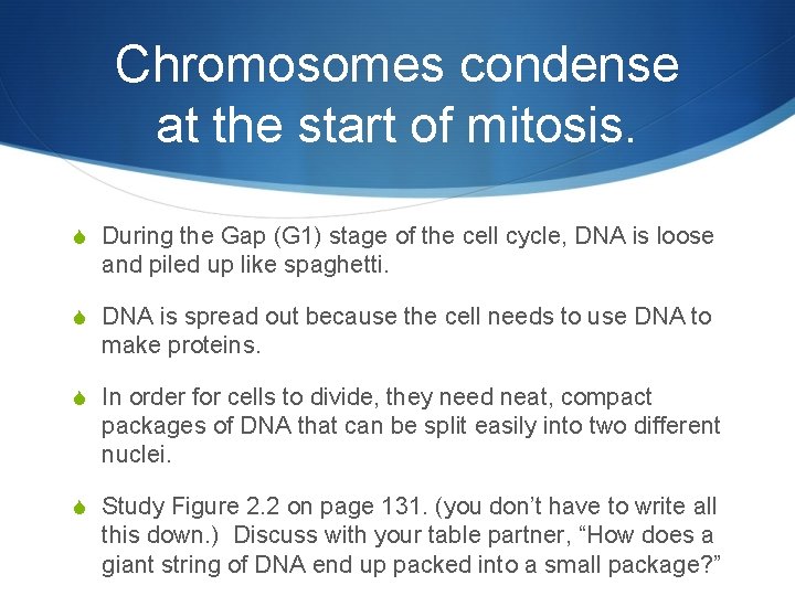 Chromosomes condense at the start of mitosis. S During the Gap (G 1) stage