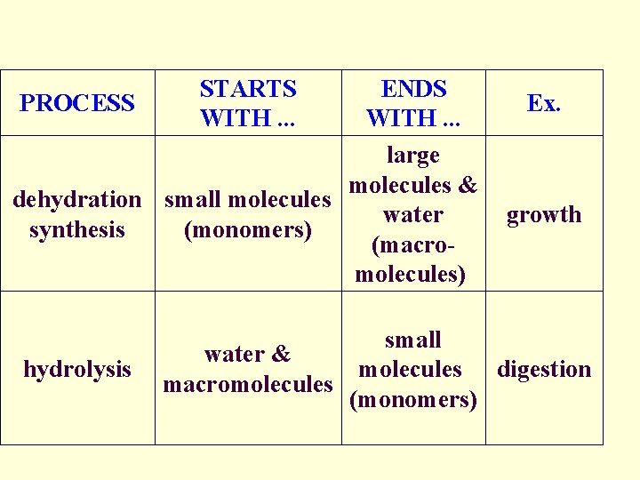 STARTS WITH. . . ENDS PROCESS Ex. WITH. . . large molecules & dehydration