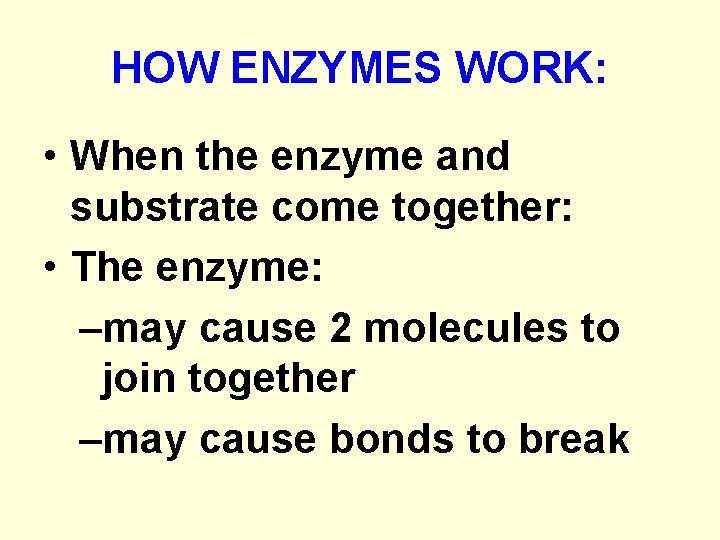 HOW ENZYMES WORK: • When the enzyme and substrate come together: • The enzyme: