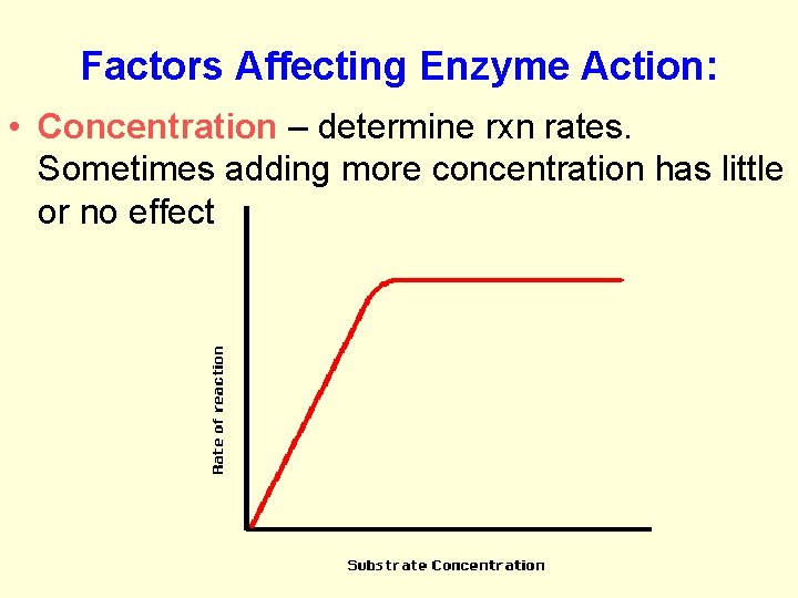 Factors Affecting Enzyme Action: • Concentration – determine rxn rates. Sometimes adding more concentration