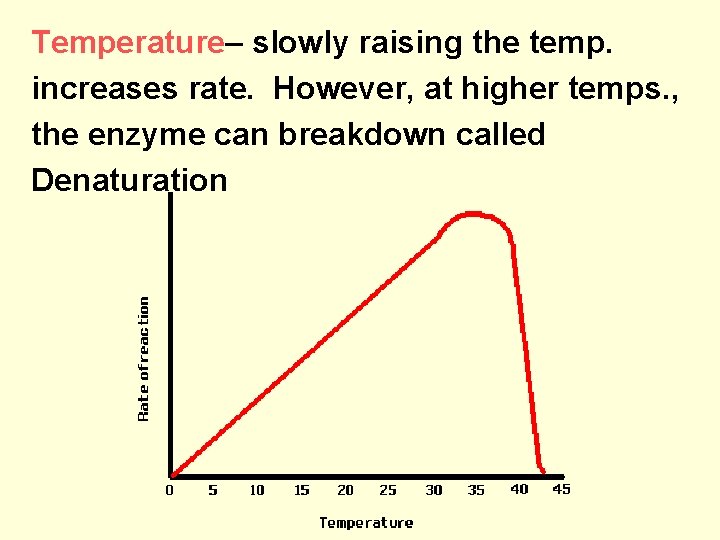 Temperature– slowly raising the temp. increases rate. However, at higher temps. , the enzyme