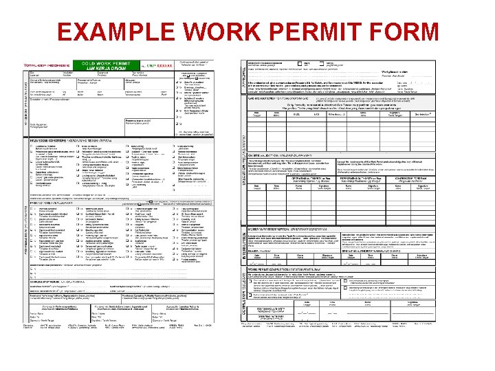 EXAMPLE WORK PERMIT FORM 