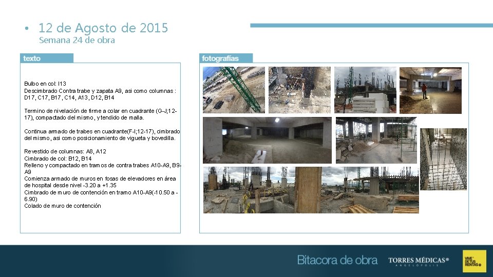  • 12 de Agosto de 2015 Semana 24 de obra Bulbo en col: