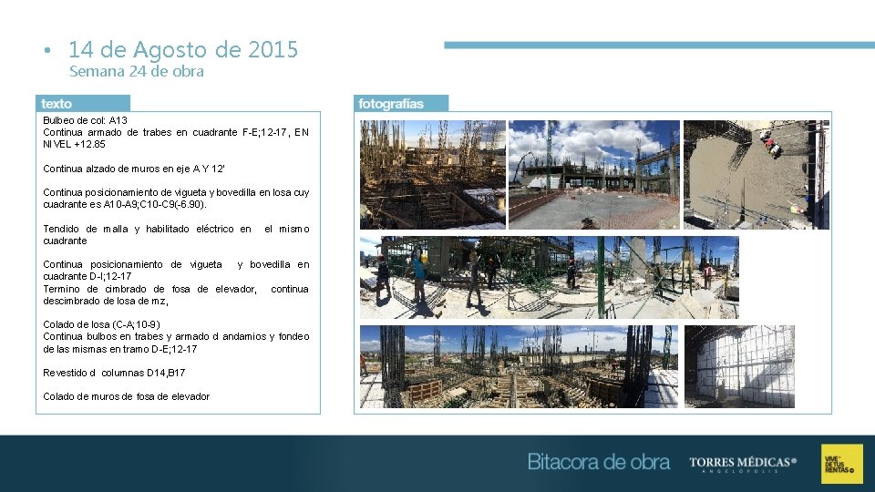  • 14 de Agosto de 2015 Semana 24 de obra Bulbeo de col: