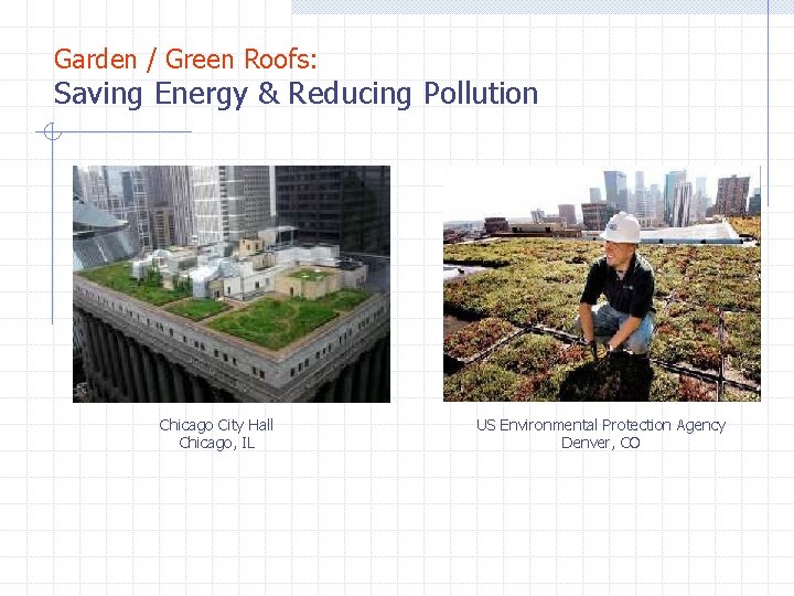Garden / Green Roofs: Saving Energy & Reducing Pollution Chicago City Hall Chicago, IL Garden / Green Roofs: Saving Energy & Reducing Pollution Chicago City Hall Chicago, IL