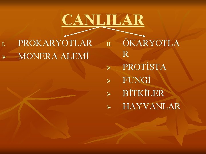 CANLILAR I. Ø PROKARYOTLAR MONERA ALEMİ II. Ø Ø ÖKARYOTLA R PROTİSTA FUNGİ BİTKİLER