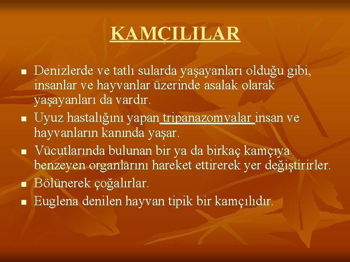 KAMÇILILAR n n n Denizlerde ve tatlı sularda yaşayanları olduğu gibi, insanlar ve hayvanlar