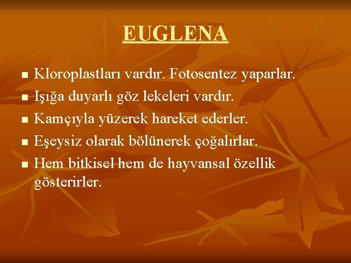 EUGLENA n n n Kloroplastları vardır. Fotosentez yaparlar. Işığa duyarlı göz lekeleri vardır. Kamçıyla