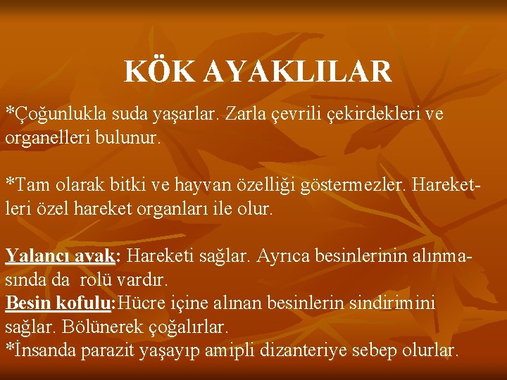 KÖK AYAKLILAR *Çoğunlukla suda yaşarlar. Zarla çevrili çekirdekleri ve organelleri bulunur. *Tam olarak bitki