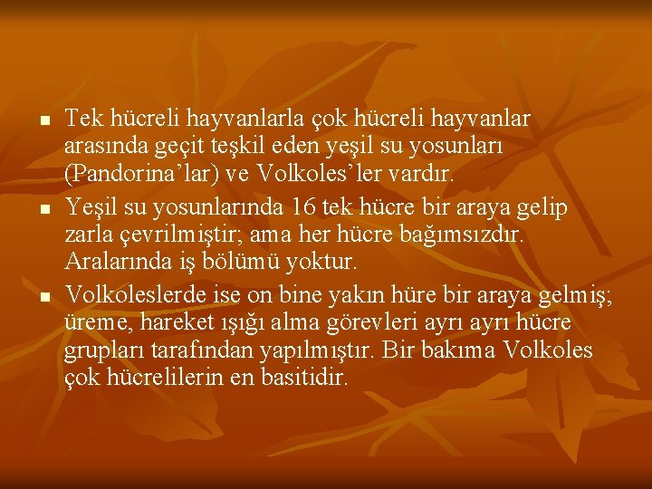 n n n Tek hücreli hayvanlarla çok hücreli hayvanlar arasında geçit teşkil eden yeşil