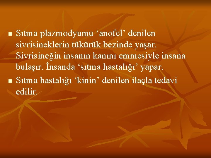 n n Sıtma plazmodyumu ‘anofel’ denilen sivrisineklerin tükürük bezinde yaşar. Sivrisineğin insanın kanını emmesiyle