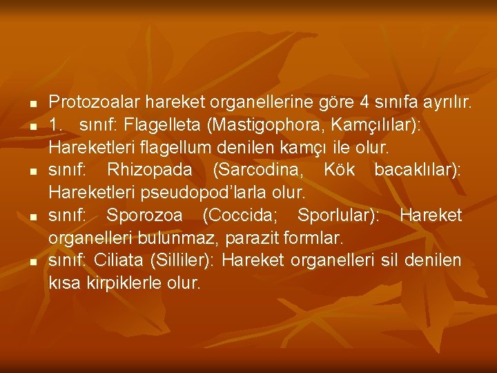 n n n Protozoalar hareket organellerine göre 4 sınıfa ayrılır. 1. sınıf: Flagelleta (Mastigophora,