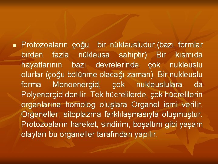 n Protozoaların çoğu bir nükleusludur. (bazı formlar birden fazla nükleusa sahiptir) Bir kısmıda hayatlarının