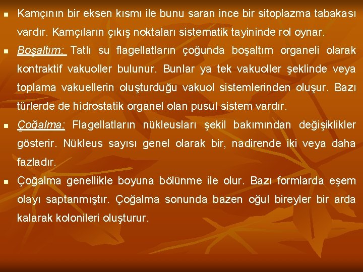 n Kamçının bir eksen kısmı ile bunu saran ince bir sitoplazma tabakası vardır. Kamçıların