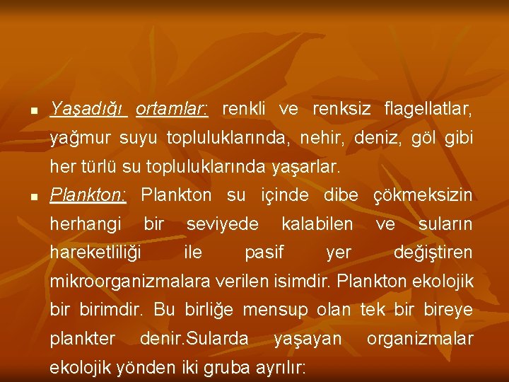 n Yaşadığı ortamlar: renkli ve renksiz flagellatlar, yağmur suyu topluluklarında, nehir, deniz, göl gibi