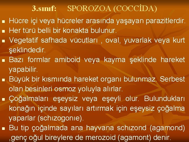 3. sınıf: n n n n SPOROZOA (COCCİDA) Hücre içi veya hücreler arasında yaşayan