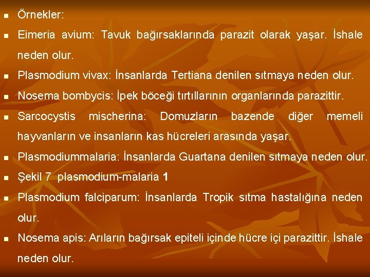 n Örnekler: n Eimeria avium: Tavuk bağırsaklarında parazit olarak yaşar. İshale neden olur. n