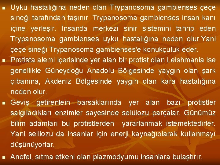 n n Uyku hastalığına neden olan Trypanosoma gambienses çeçe sineği tarafından taşınır. Trypanosoma gambienses