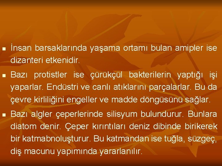 n n n İnsan barsaklarında yaşama ortamı bulan amipler ise dizanteri etkenidir. Bazı protistler