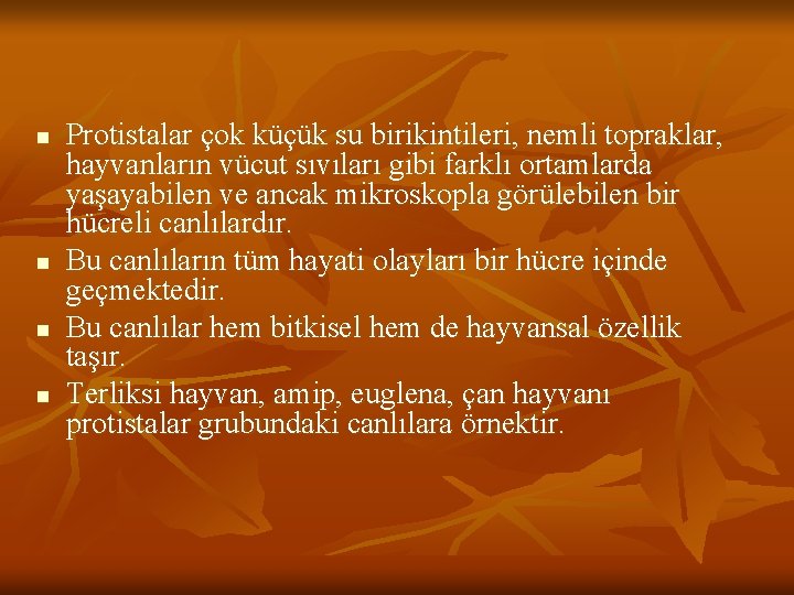 n n Protistalar çok küçük su birikintileri, nemli topraklar, hayvanların vücut sıvıları gibi farklı