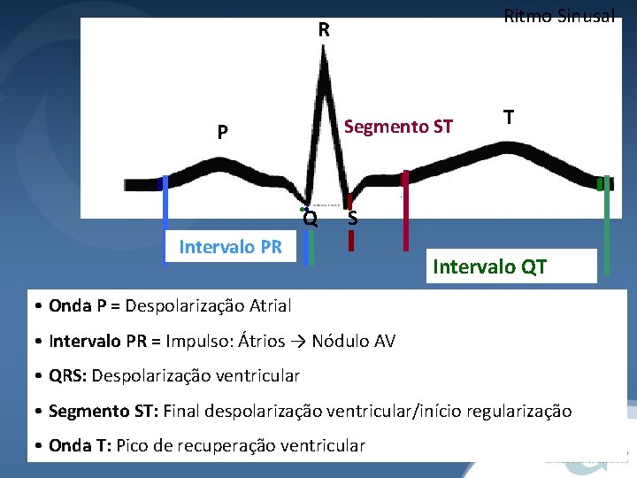 Ritmo Sinusal R Segmento ST P Q T S Intervalo PR Intervalo QT •