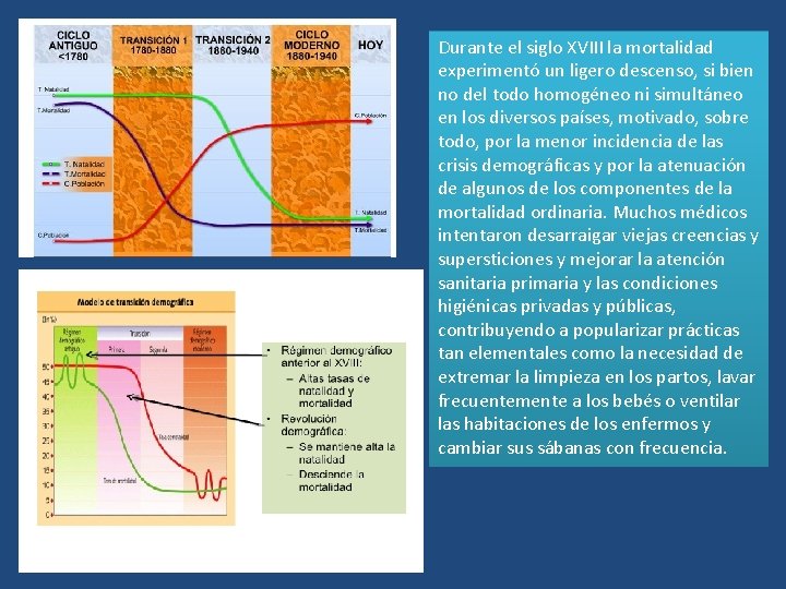 Durante el siglo XVIII la mortalidad experimentó un ligero descenso, si bien no del