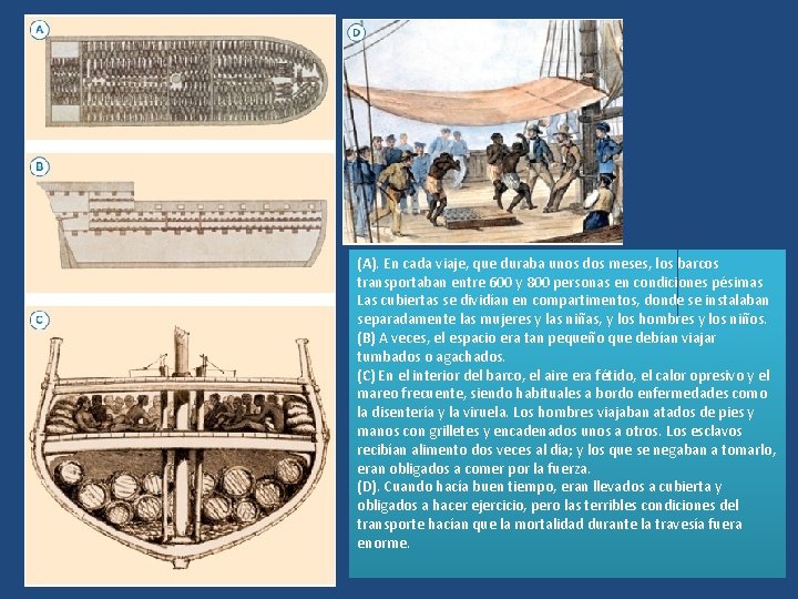 (A). En cada viaje, que duraba unos dos meses, los barcos transportaban entre 600 (A). En cada viaje, que duraba unos dos meses, los barcos transportaban entre 600