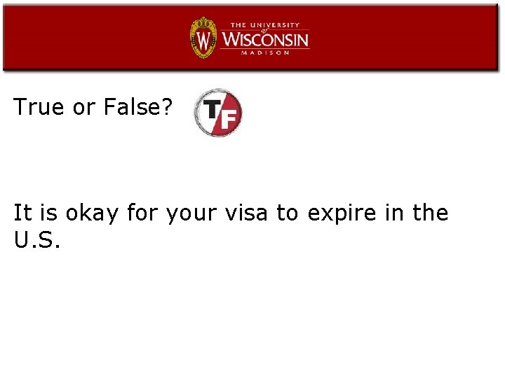 True or False? It is okay for your visa to expire in the U.