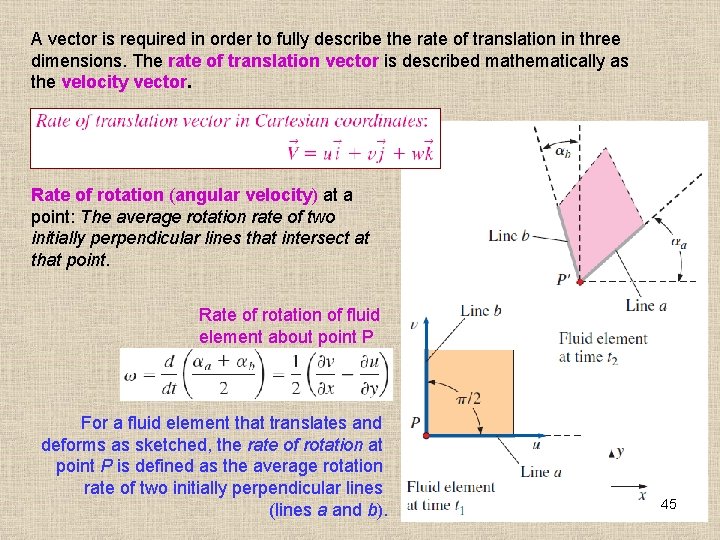 A vector is required in order to fully describe the rate of translation in