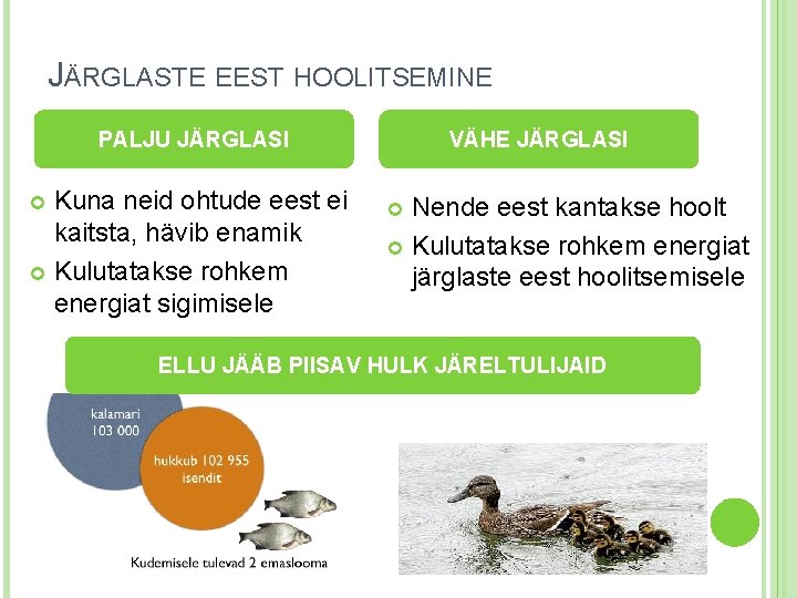 JÄRGLASTE EEST HOOLITSEMINE PALJU JÄRGLASI Kuna neid ohtude eest ei kaitsta, hävib enamik Kulutatakse