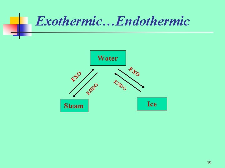 Exothermic…Endothermic Water EX O EN D O O X E Steam Ice 19 