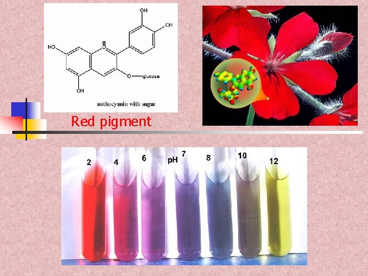 Red pigment 