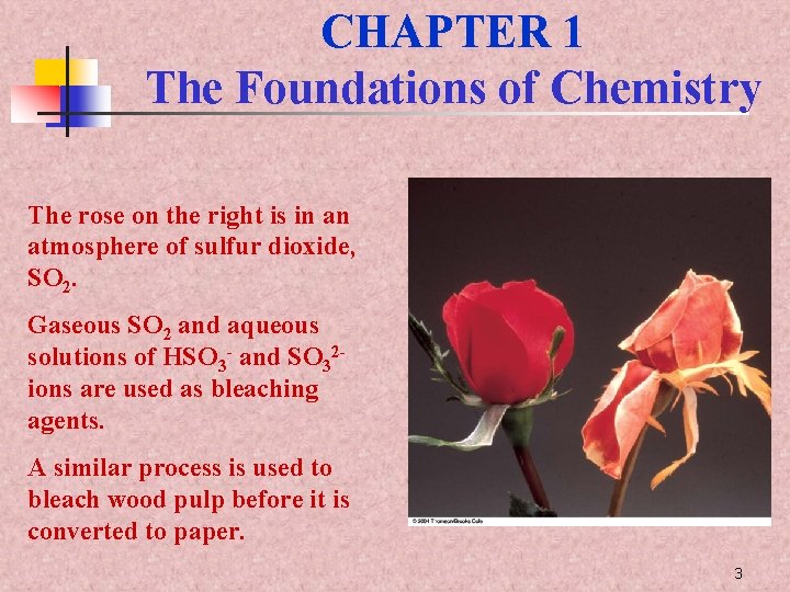 CHAPTER 1 The Foundations of Chemistry The rose on the right is in an