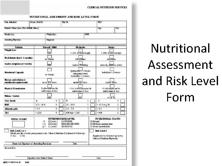 Nutritional Assessment and Risk Level Form 