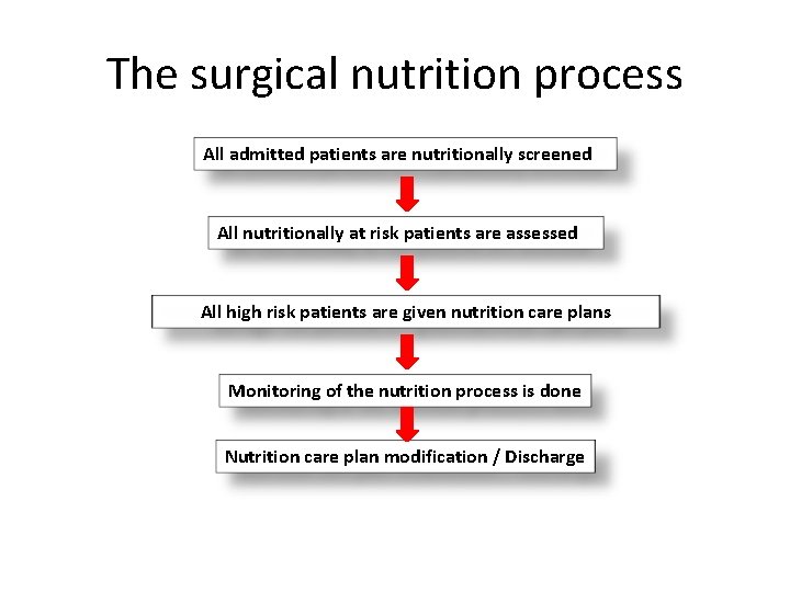 The surgical nutrition process All admitted patients are nutritionally screened All nutritionally at risk