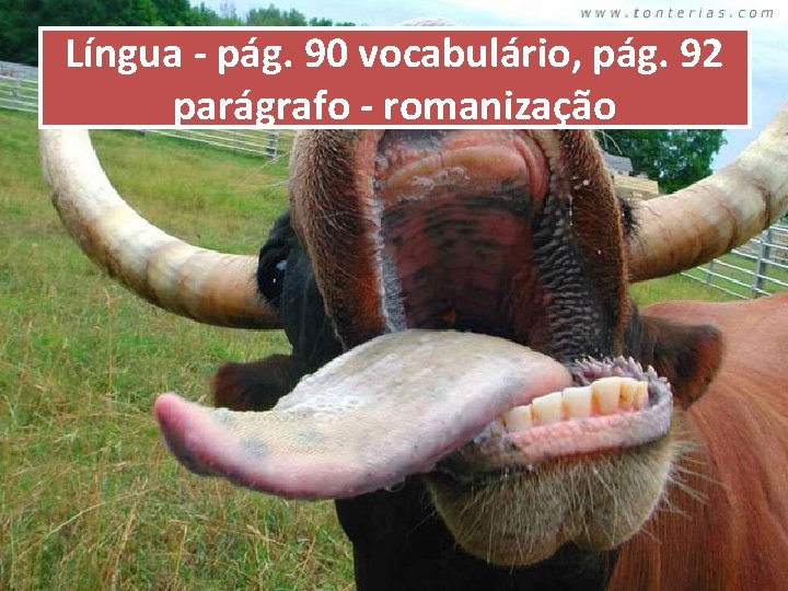 Língua - pág. 90 vocabulário, pág. 92 parágrafo - romanização 