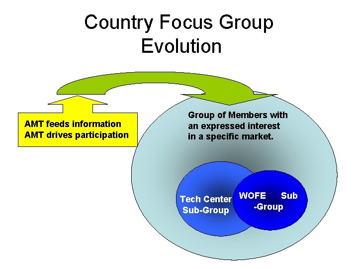Country Focus Group Evolution AMT feeds information AMT drives participation Group of Members with