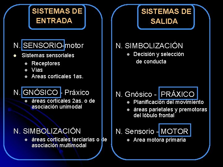 SISTEMAS DE ENTRADA N. SENSORIO-motor l Sistemas sensoriales l Receptores l Vìas l Areas